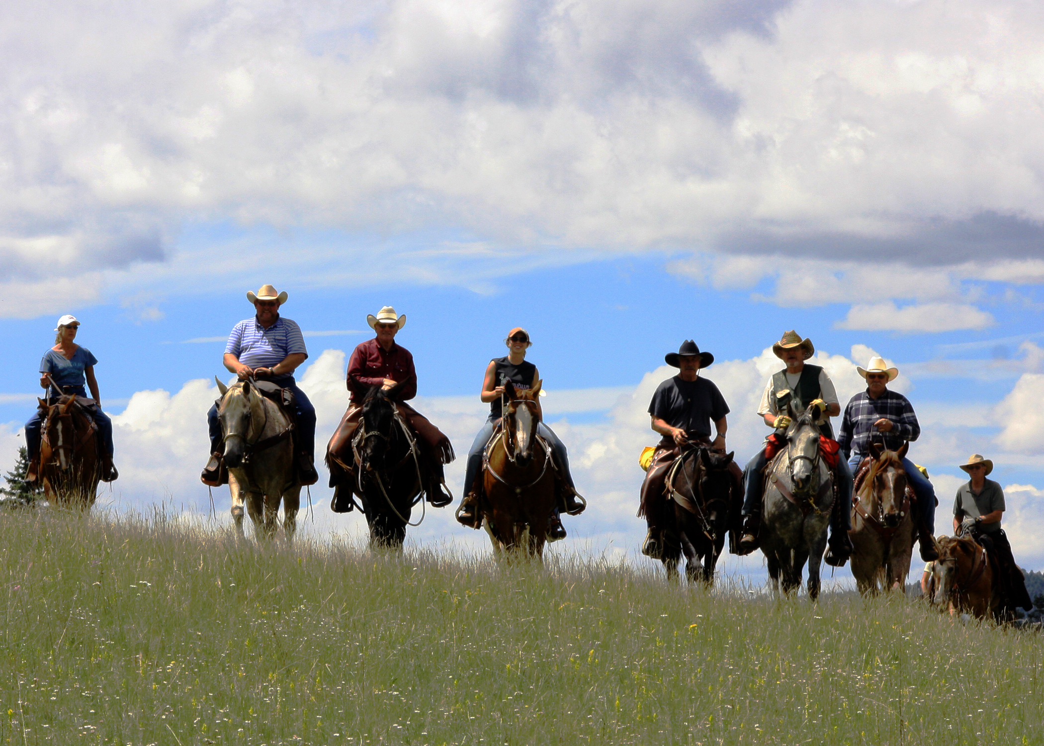 New Direction for Local Saddle Club New Direction for Local Saddle Club