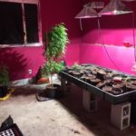 3rd pot bust – teller county sheriffs office_1516834236458.png_10116322_ver1.0_640_360