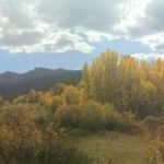 Photo0483_op_957x183