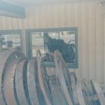 57870521_385377632063761_1283049908344979456_n