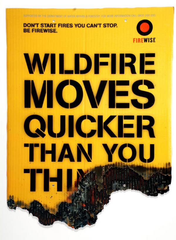 Teller County Forms New Wildfire Council To Address Future Risks Teller County Forms New Wildfire Council To Address Future Risks