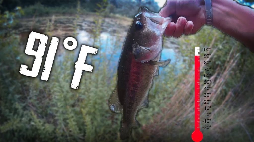 How Hot Is Too Hot To Fish? The Mountain Jackpot News