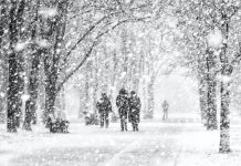 Early November Snowstorm Blasts Teller County/Ute Pass Region For Days