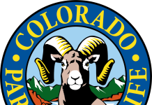 Colorado Parks and Wildlife Commission adopts staff recommendation regarding citizen petition to delay gray wolf restoration