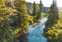 Governor Polis and Colorado Parks and Wildlife acquire Michigan Creek property in conservation victory