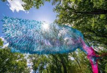 17th Annual Green Box Festival Showcases Colorado/Global Artistic Voices