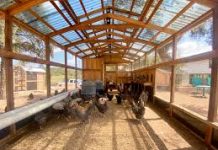 Plans for a Teller County Tax Hike Gaining Strong Momentum