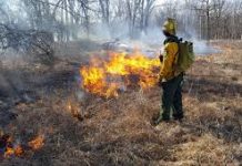 Pike National Forest Begins Spring Prescribed Fire Implementation Effort