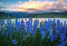 Celebrate Colorado Public Lands Day at Colorado state parks