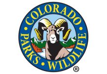 Gov. Polis & CPW Announce 2025 Human-Bear Conflict Reduction Grant Recipients, Keeping Colorado Communities Safe and Protecting Wildlife