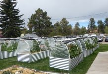Woodland Park Officially Unveils First-Ever Community Garden at City Hall