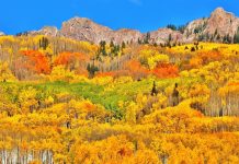 Ute Pass/Teller Region Follows Nationwide Trend in Reported Visitor Numbers