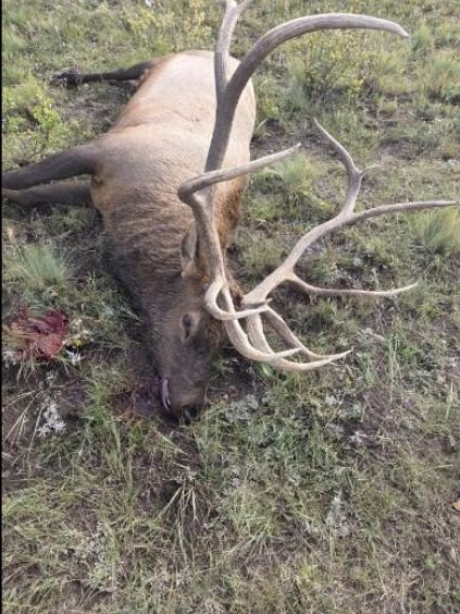 unnamed - 2025-11-24T154005.299