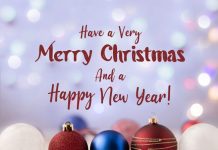 Views from the Editor: Merry Christmas and Happy New Year