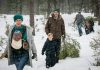 Kick-off Period Has Started for a Popular Yuletide Tradition: Cutting Your Own Tree
