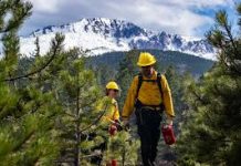 Fire Burning Operations Underway in Forest Service Designated Areas