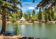 GMF Speeding Crackdown Still Bustling with Mega Infractions; No signs of Slowdown