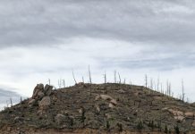 Early Season Fishing Proves Fruitful in the High Country