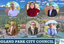 WP Council Denies Plea from Residents; Decides to Open Up Process for Vacated Seat