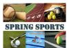 Many Local Athletes Shine During Spring Sports Season