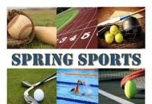 Many Local Athletes Shine During Spring Sports Season