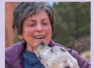 Tales From a Local Animal Healer