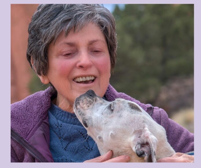 Tales From a Local Animal Healer Tales From a Local Animal Healer