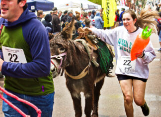 Schedule Announced for 95th Annual Donkey Derby Days Festival