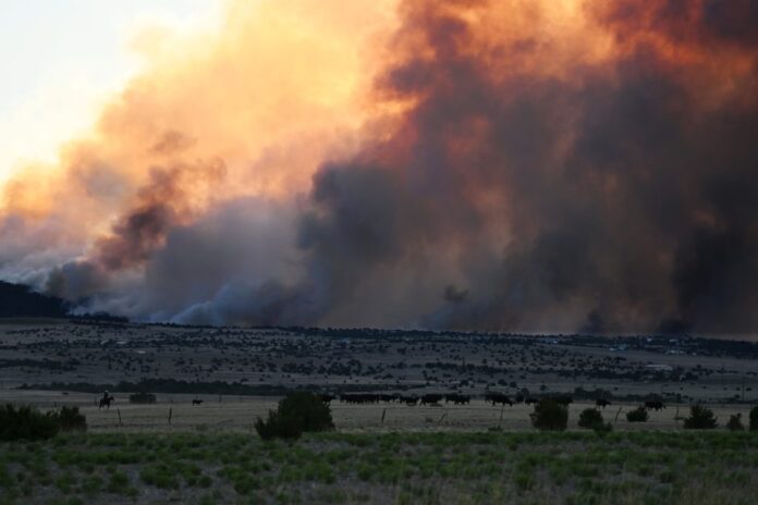 Wildfires Continue to Torch Tens of Thousands of Acres in Colorado Wildfires Continue to Torch Tens of Thousands of Acres in Colorado