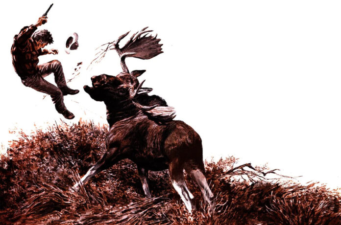 Moose Attacks Reported at Hiking Trail Near Woodland Park Moose Attacks Reported at Hiking Trail Near Woodland Park
